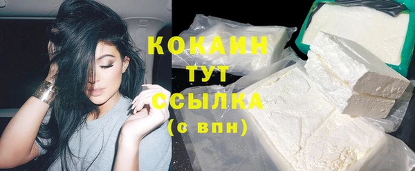 тгк Новодвинск