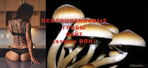 тгк Новодвинск