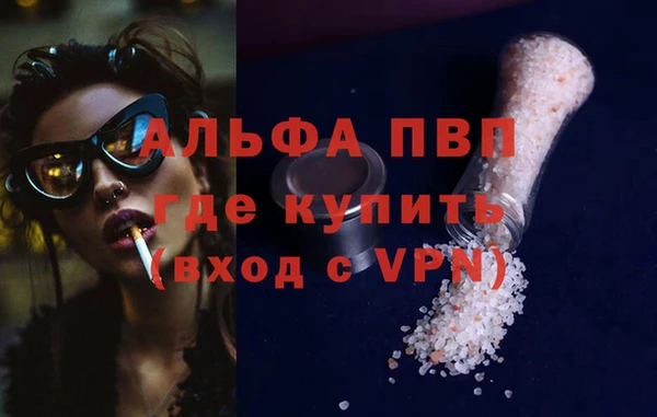 прущие грибы Елизово