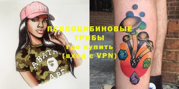 тгк Новодвинск