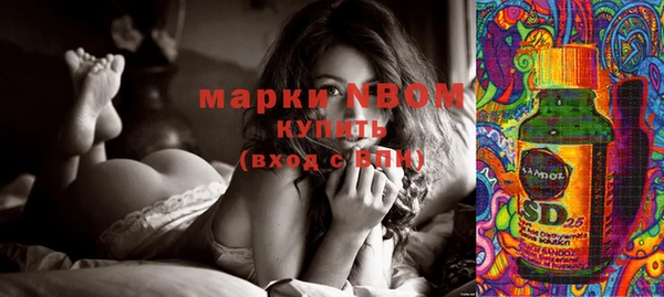 тгк Новодвинск
