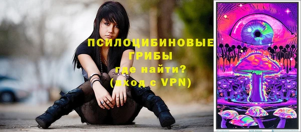 круглые Новозыбков