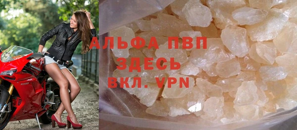 тгк Новодвинск