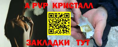 стаф Камышлов