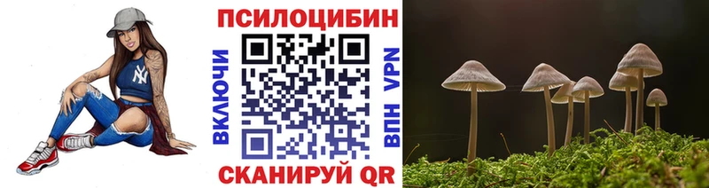 Псилоцибиновые грибы мухоморы  МЕГА зеркало  Северобайкальск  как найти закладки 